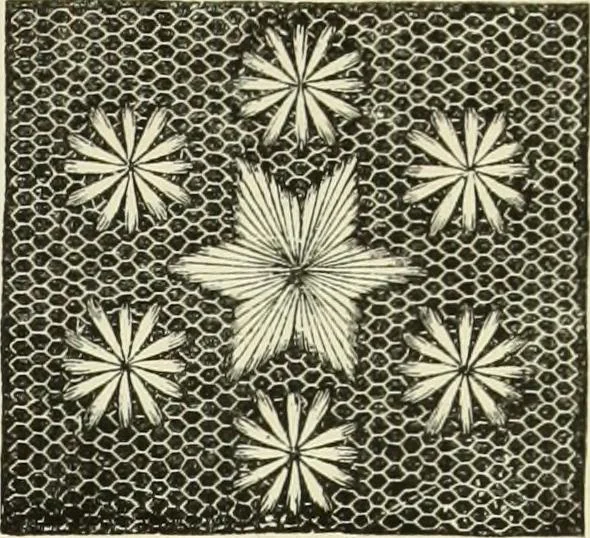 An illustration from The dictionary of needlework : an encyclopaedia of artistic, plain, and fancy needlework dealing fully with the details of all the stitches employed, the method of working, the materials used, the meaning of technical terms, and, where necessary, tracing the origin and history of the various works described, 1882, leaf 84