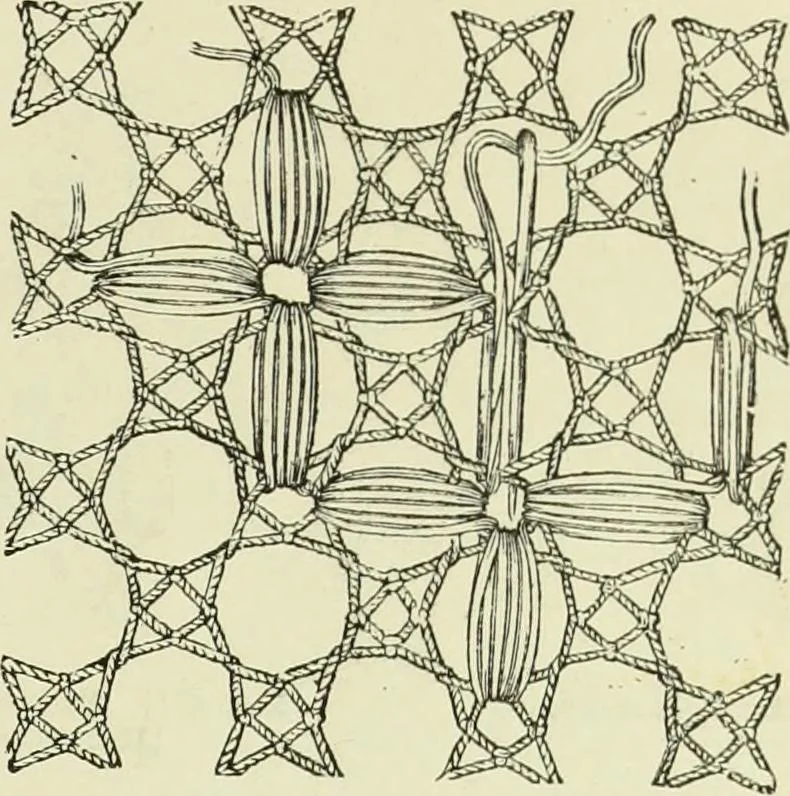 An illustration from The dictionary of needlework : an encyclopaedia of artistic, plain, and fancy needlework dealing fully with the details of all the stitches employed, the method of working, the materials used, the meaning of technical terms, and, where necessary, tracing the origin and history of the various works described, 1882, leaf 92