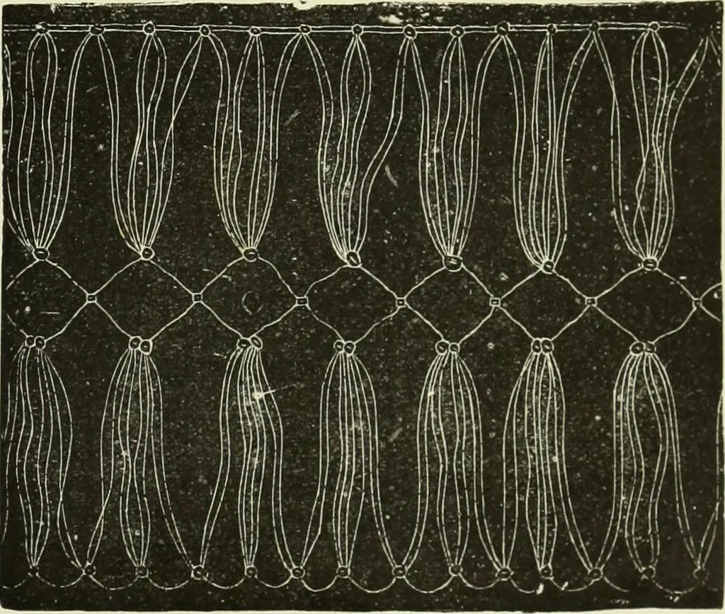 An illustration from The dictionary of needlework : an encyclopaedia of artistic, plain, and fancy needlework dealing fully with the details of all the stitches employed, the method of working, the materials used, the meaning of technical terms, and, where necessary, tracing the origin and history of the various works described, 1882, leaf 94