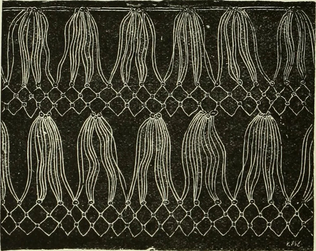 An illustration from The dictionary of needlework : an encyclopaedia of artistic, plain, and fancy needlework dealing fully with the details of all the stitches employed, the method of working, the materials used, the meaning of technical terms, and, where necessary, tracing the origin and history of the various works described, 1882, leaf 95