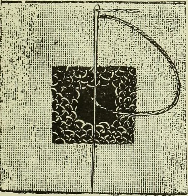 An illustration from The dictionary of needlework : an encyclopaedia of artistic, plain, and fancy needlework dealing fully with the details of all the stitches employed, the method of working, the materials used, the meaning of technical terms, and, where necessary, tracing the origin and history of the various works described, 1882, leaf 104