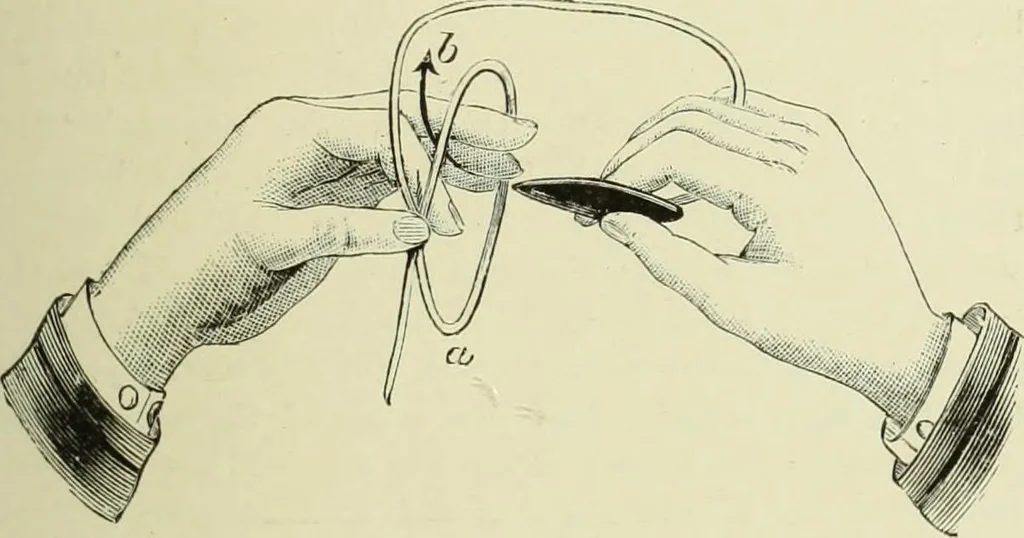 An illustration from The dictionary of needlework : an encyclopaedia of artistic, plain, and fancy needlework dealing fully with the details of all the stitches employed, the method of working, the materials used, the meaning of technical terms, and, where necessary, tracing the origin and history of the various works described, 1882, leaf 112