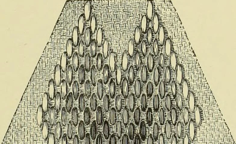 An illustration from The dictionary of needlework : an encyclopaedia of artistic, plain, and fancy needlework dealing fully with the details of all the stitches employed, the method of working, the materials used, the meaning of technical terms, and, where necessary, tracing the origin and history of the various works described, 1882, leaf 130