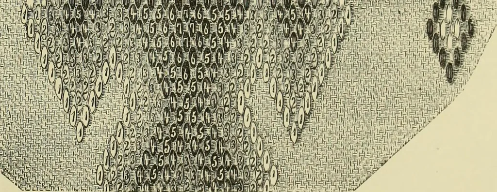 An illustration from The dictionary of needlework : an encyclopaedia of artistic, plain, and fancy needlework dealing fully with the details of all the stitches employed, the method of working, the materials used, the meaning of technical terms, and, where necessary, tracing the origin and history of the various works described, 1882, leaf 130