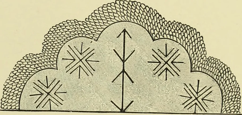 An illustration from The dictionary of needlework : an encyclopaedia of artistic, plain, and fancy needlework dealing fully with the details of all the stitches employed, the method of working, the materials used, the meaning of technical terms, and, where necessary, tracing the origin and history of the various works described, 1882, leaf 132