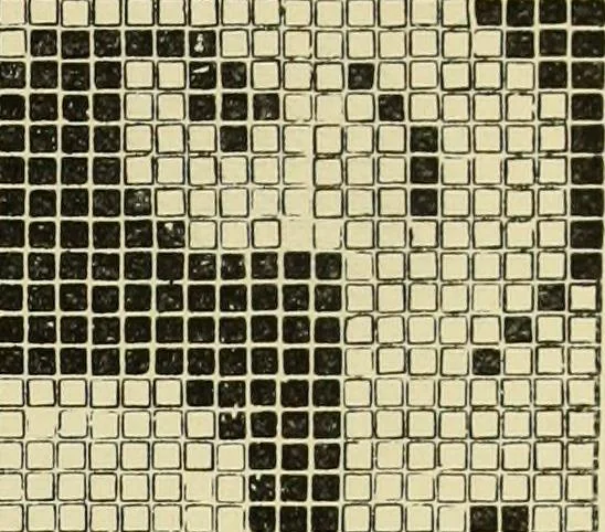 An illustration from The dictionary of needlework : an encyclopaedia of artistic, plain, and fancy needlework dealing fully with the details of all the stitches employed, the method of working, the materials used, the meaning of technical terms, and, where necessary, tracing the origin and history of the various works described, 1882, leaf 158