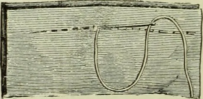 An illustration from The dictionary of needlework : an encyclopaedia of artistic, plain, and fancy needlework dealing fully with the details of all the stitches employed, the method of working, the materials used, the meaning of technical terms, and, where necessary, tracing the origin and history of the various works described, 1882, leaf 57