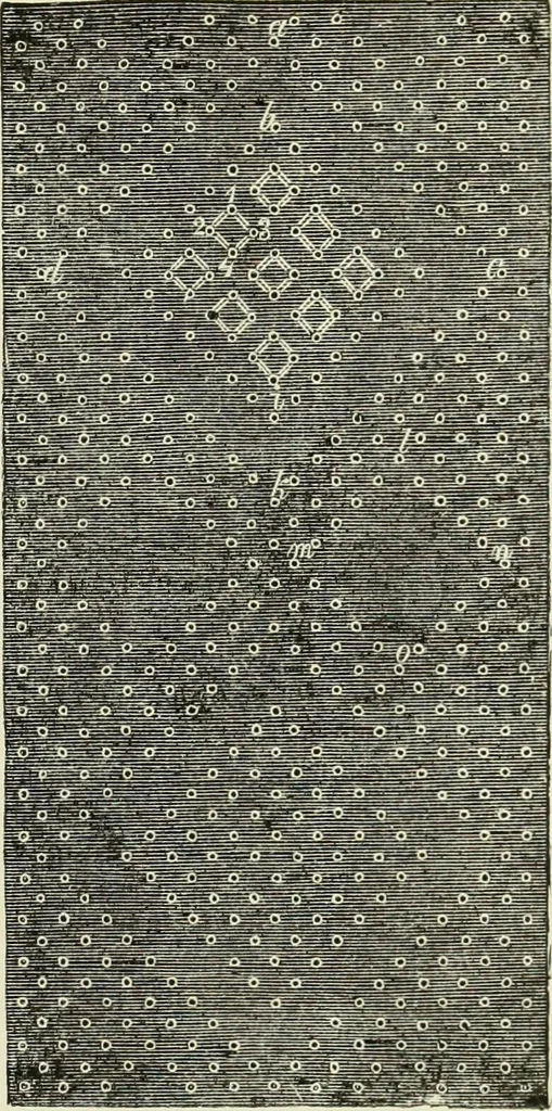 An illustration from The dictionary of needlework : an encyclopaedia of artistic, plain, and fancy needlework dealing fully with the details of all the stitches employed, the method of working, the materials used, the meaning of technical terms, and, where necessary, tracing the origin and history of the various works described, 1882, leaf 72