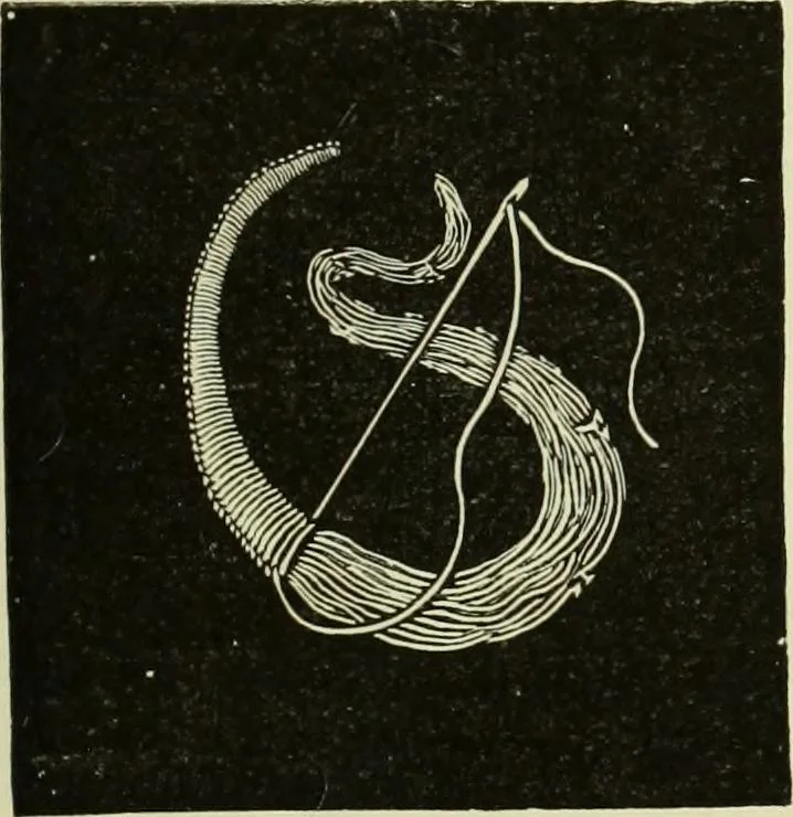 An illustration from The dictionary of needlework : an encyclopaedia of artistic, plain, and fancy needlework dealing fully with the details of all the stitches employed, the method of working, the materials used, the meaning of technical terms, and, where necessary, tracing the origin and history of the various works described, 1882, leaf 90
