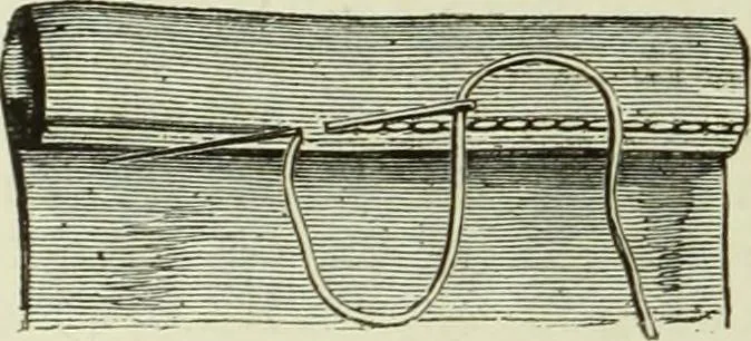 An illustration from The dictionary of needlework : an encyclopaedia of artistic, plain, and fancy needlework dealing fully with the details of all the stitches employed, the method of working, the materials used, the meaning of technical terms, and, where necessary, tracing the origin and history of the various works described, 1882, leaf 97