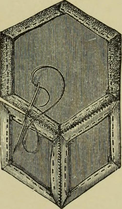An illustration from The dictionary of needlework : an encyclopaedia of artistic, plain, and fancy needlework dealing fully with the details of all the stitches employed, the method of working, the materials used, the meaning of technical terms, and, where necessary, tracing the origin and history of the various works described, 1882, leaf 113