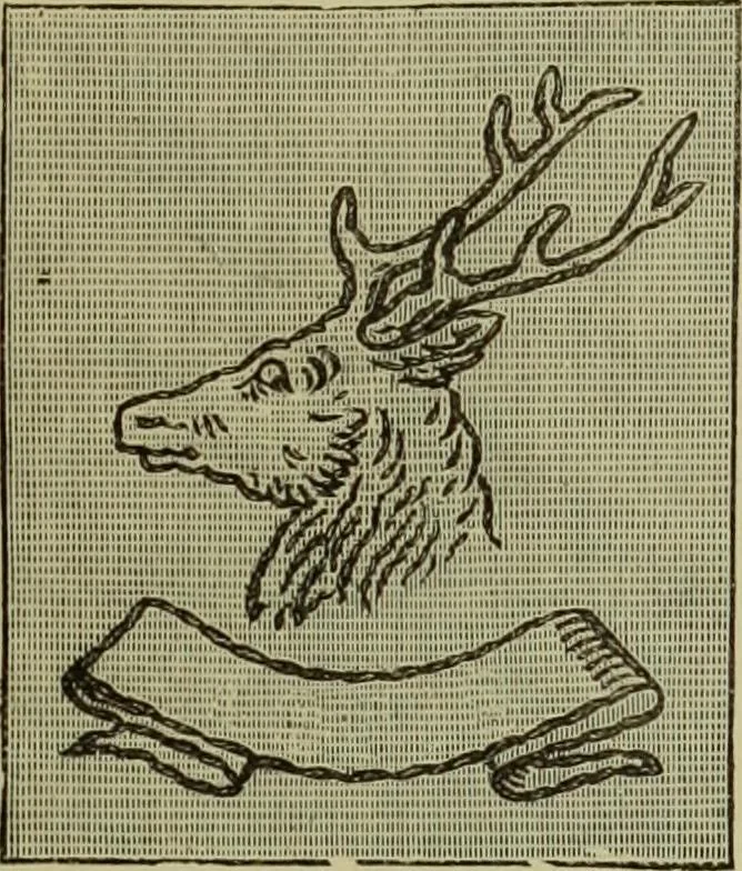An illustration from The dictionary of needlework : an encyclopaedia of artistic, plain, and fancy needlework dealing fully with the details of all the stitches employed, the method of working, the materials used, the meaning of technical terms, and, where necessary, tracing the origin and history of the various works described, 1882, leaf 119