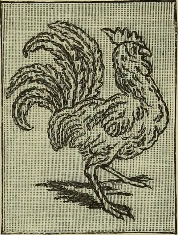 An illustration from The dictionary of needlework : an encyclopaedia of artistic, plain, and fancy needlework dealing fully with the details of all the stitches employed, the method of working, the materials used, the meaning of technical terms, and, where necessary, tracing the origin and history of the various works described, 1882, leaf 119