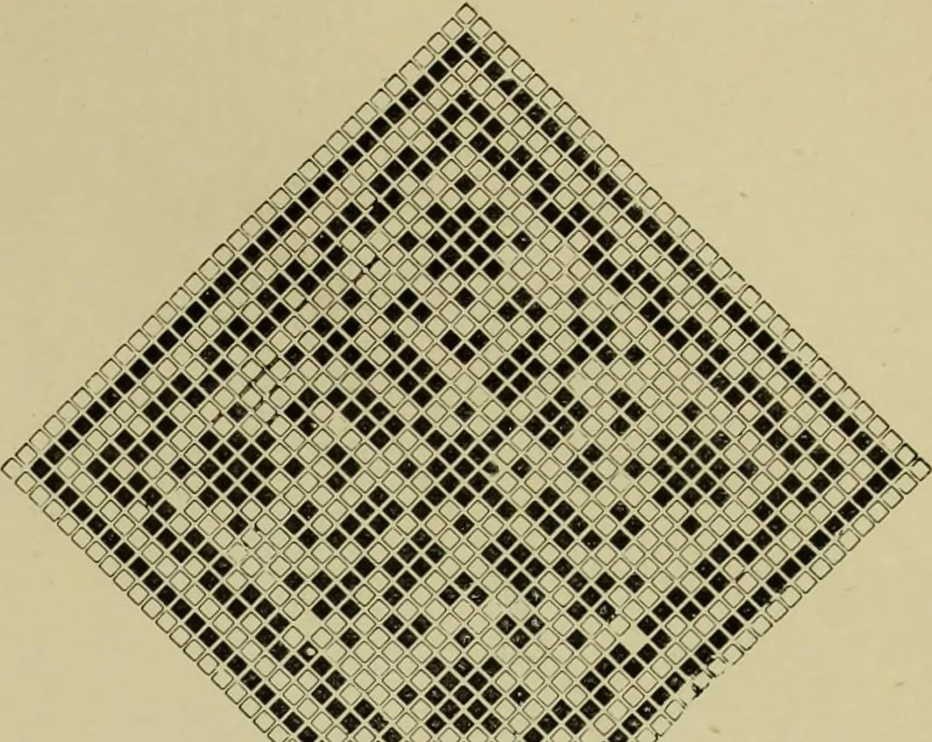 An illustration from The dictionary of needlework : an encyclopaedia of artistic, plain, and fancy needlework dealing fully with the details of all the stitches employed, the method of working, the materials used, the meaning of technical terms, and, where necessary, tracing the origin and history of the various works described, 1882, leaf 135