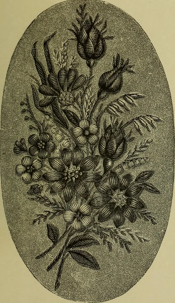 An illustration from The dictionary of needlework : an encyclopaedia of artistic, plain, and fancy needlework dealing fully with the details of all the stitches employed, the method of working, the materials used, the meaning of technical terms, and, where necessary, tracing the origin and history of the various works described, 1882, leaf 137