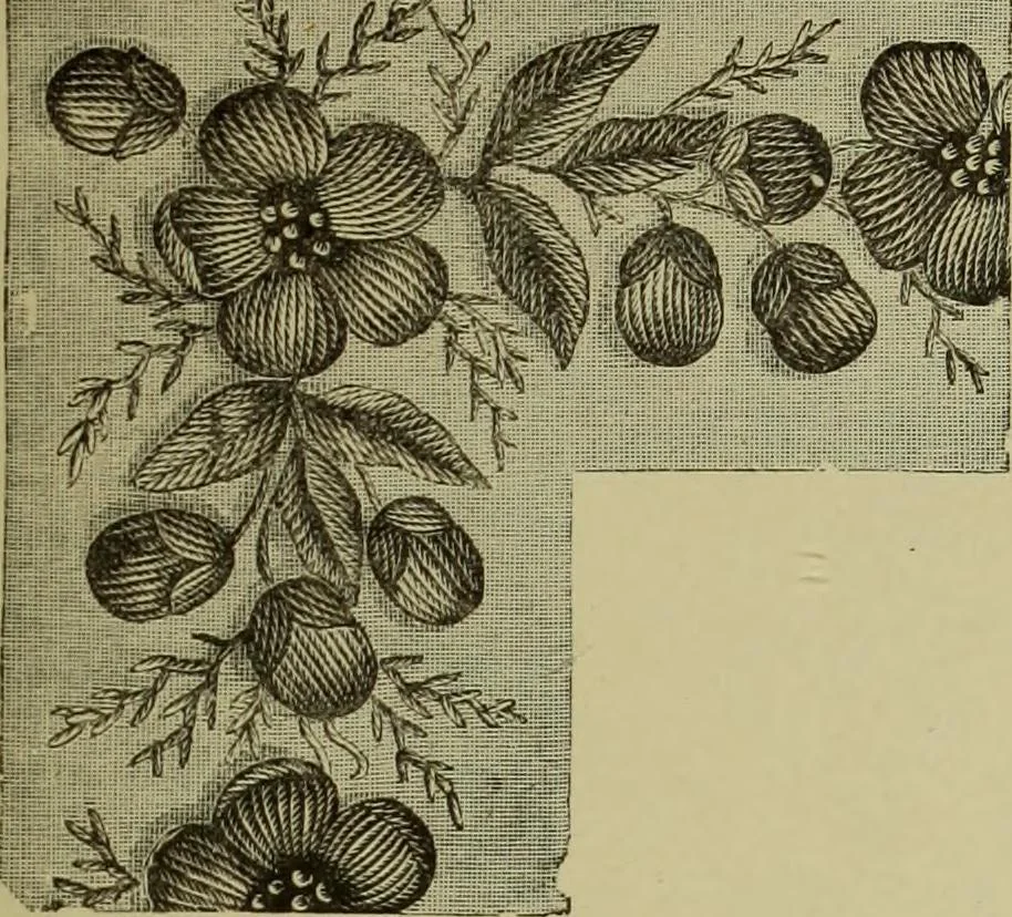 An illustration from The dictionary of needlework : an encyclopaedia of artistic, plain, and fancy needlework dealing fully with the details of all the stitches employed, the method of working, the materials used, the meaning of technical terms, and, where necessary, tracing the origin and history of the various works described, 1882, leaf 139