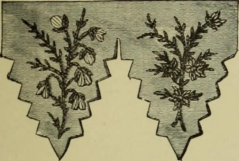 An illustration from The dictionary of needlework : an encyclopaedia of artistic, plain, and fancy needlework dealing fully with the details of all the stitches employed, the method of working, the materials used, the meaning of technical terms, and, where necessary, tracing the origin and history of the various works described, 1882, leaf 149