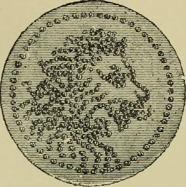 An illustration from The dictionary of needlework : an encyclopaedia of artistic, plain, and fancy needlework dealing fully with the details of all the stitches employed, the method of working, the materials used, the meaning of technical terms, and, where necessary, tracing the origin and history of the various works described, 1882, leaf 149