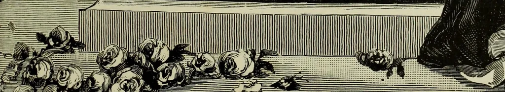 An illustration from The dictionary of needlework : an encyclopaedia of artistic, plain, and fancy needlework dealing fully with the details of all the stitches employed, the method of working, the materials used, the meaning of technical terms, and, where necessary, tracing the origin and history of the various works described, 1882, leaf 159