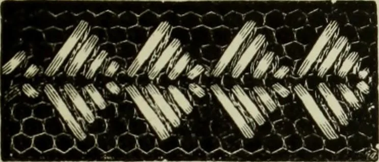 An illustration from The dictionary of needlework : an encyclopaedia of artistic, plain, and fancy needlework dealing fully with the details of all the stitches employed, the method of working, the materials used, the meaning of technical terms, and, where necessary, tracing the origin and history of the various works described, 1882, leaf 35