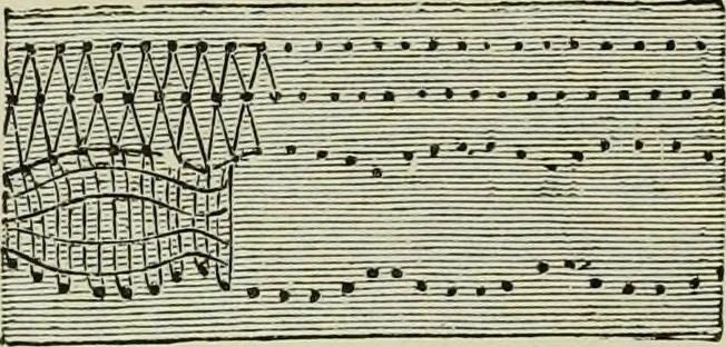 An illustration from The dictionary of needlework : an encyclopaedia of artistic, plain, and fancy needlework dealing fully with the details of all the stitches employed, the method of working, the materials used, the meaning of technical terms, and, where necessary, tracing the origin and history of the various works described, 1882, leaf 43