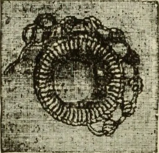 An illustration from The dictionary of needlework : an encyclopaedia of artistic, plain, and fancy needlework dealing fully with the details of all the stitches employed, the method of working, the materials used, the meaning of technical terms, and, where necessary, tracing the origin and history of the various works described, 1882, leaf 52