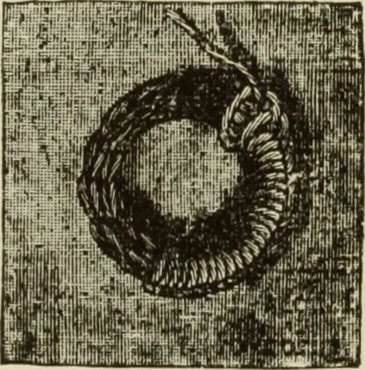 An illustration from The dictionary of needlework : an encyclopaedia of artistic, plain, and fancy needlework dealing fully with the details of all the stitches employed, the method of working, the materials used, the meaning of technical terms, and, where necessary, tracing the origin and history of the various works described, 1882, leaf 52
