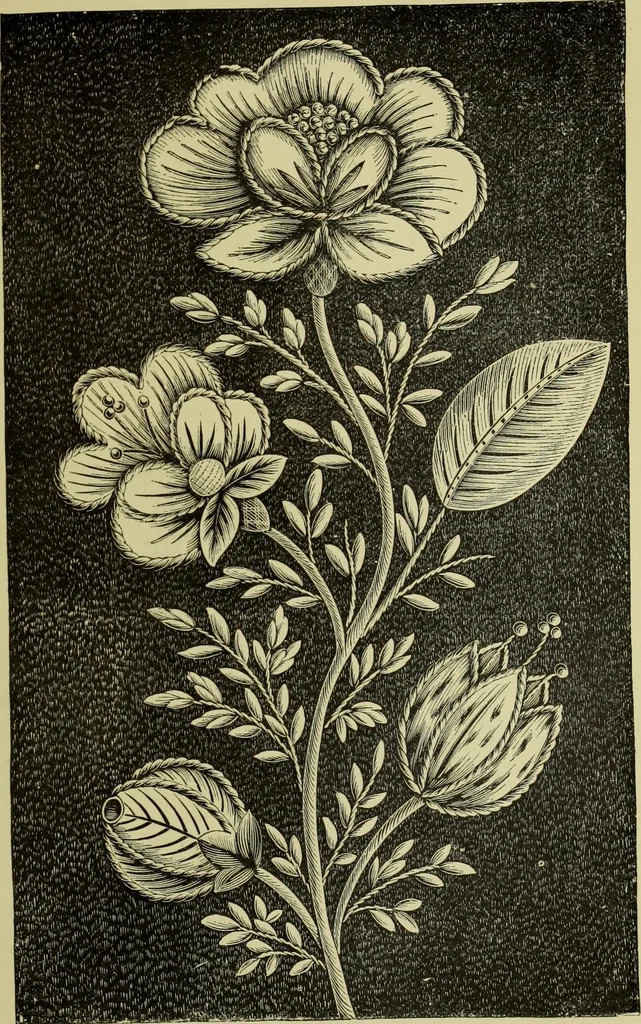 An illustration from The dictionary of needlework : an encyclopaedia of artistic, plain, and fancy needlework dealing fully with the details of all the stitches employed, the method of working, the materials used, the meaning of technical terms, and, where necessary, tracing the origin and history of the various works described, 1882, leaf 71