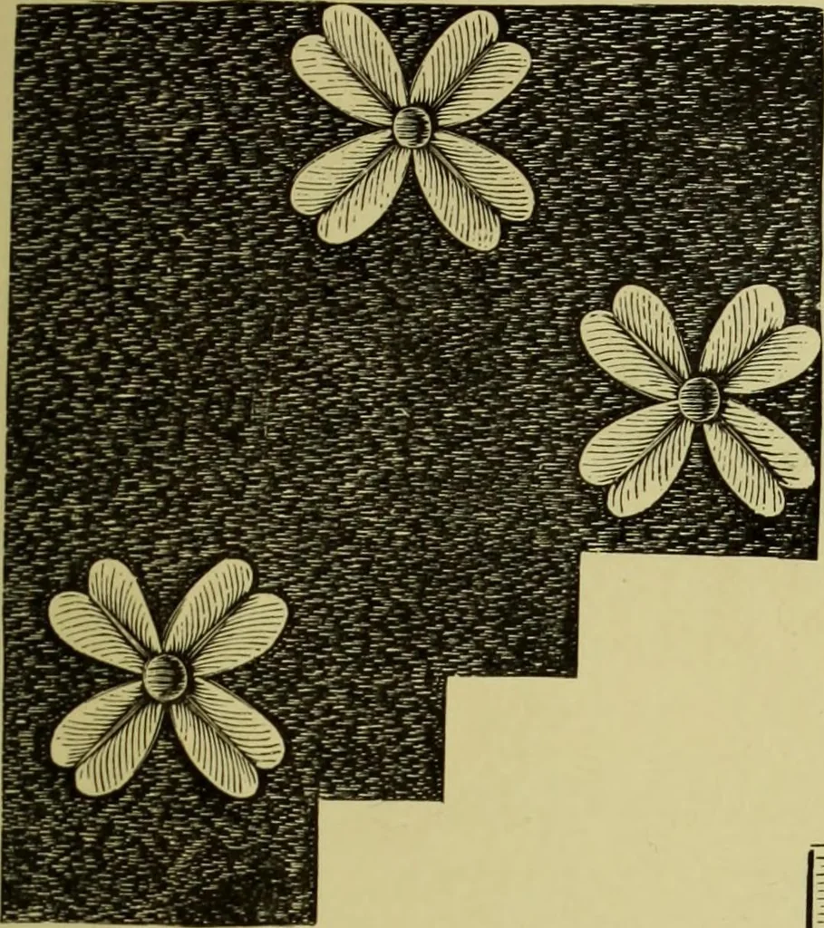 An illustration from The dictionary of needlework : an encyclopaedia of artistic, plain, and fancy needlework dealing fully with the details of all the stitches employed, the method of working, the materials used, the meaning of technical terms, and, where necessary, tracing the origin and history of the various works described, 1882, leaf 77