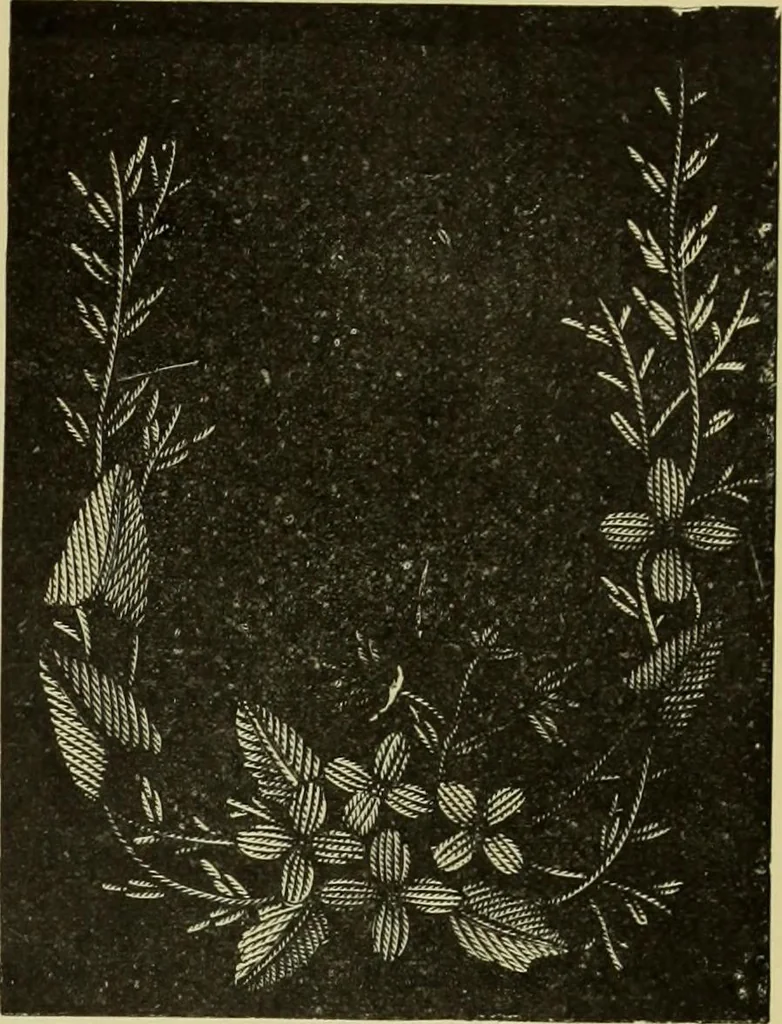 An illustration from The dictionary of needlework : an encyclopaedia of artistic, plain, and fancy needlework dealing fully with the details of all the stitches employed, the method of working, the materials used, the meaning of technical terms, and, where necessary, tracing the origin and history of the various works described, 1882, leaf 77