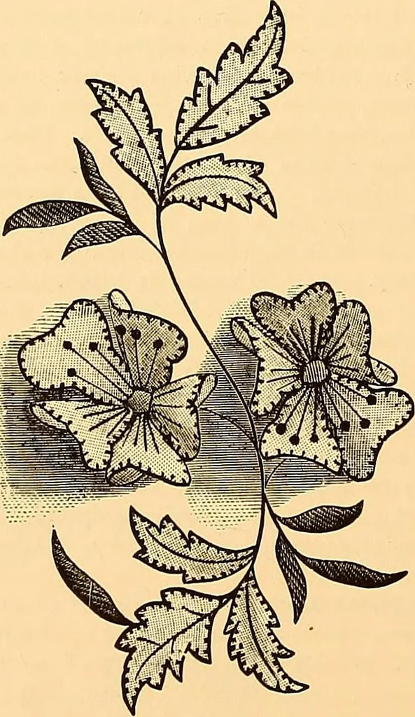 An illustration from The dictionary of needlework : an encyclopædia of artistic, plain, and fancy needlework ..., 1882, leaf 105