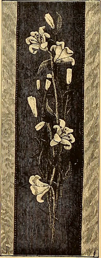 An illustration from The dictionary of needlework : an encyclopædia of artistic, plain, and fancy needlework ..., 1882, leaf 111