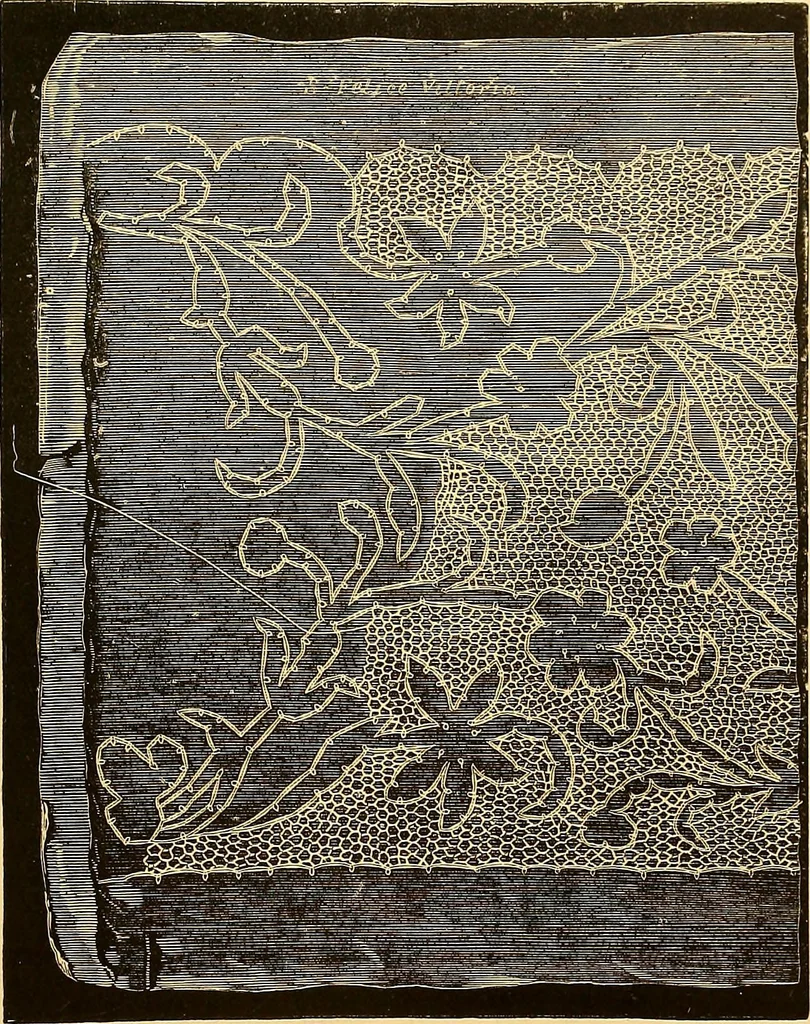 An illustration from The dictionary of needlework : an encyclopædia of artistic, plain, and fancy needlework ..., 1882, leaf 14