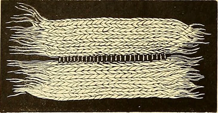 An illustration from The dictionary of needlework : an encyclopædia of artistic, plain, and fancy needlework ..., 1882, leaf 155