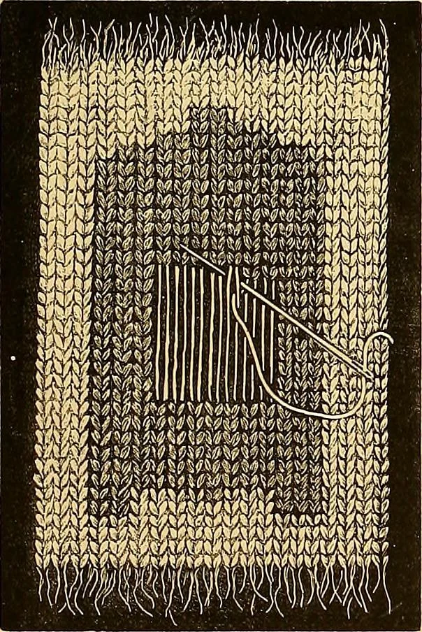 An illustration from The dictionary of needlework : an encyclopædia of artistic, plain, and fancy needlework ..., 1882, leaf 156
