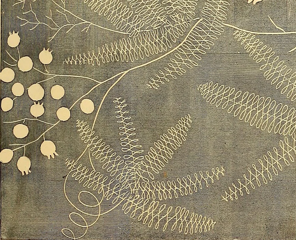 An illustration from The dictionary of needlework : an encyclopædia of artistic, plain, and fancy needlework ..., 1882, leaf 158