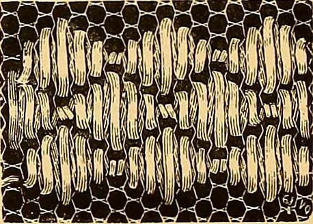 An illustration from The dictionary of needlework : an encyclopædia of artistic, plain, and fancy needlework ..., 1882, leaf 159