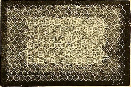 An illustration from The dictionary of needlework : an encyclopædia of artistic, plain, and fancy needlework ..., 1882, leaf 160