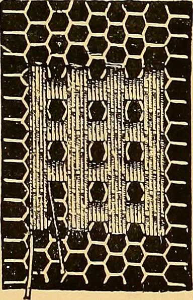An illustration from The dictionary of needlework : an encyclopædia of artistic, plain, and fancy needlework ..., 1882, leaf 160