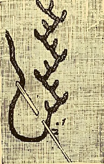 An illustration from The dictionary of needlework : an encyclopædia of artistic, plain, and fancy needlework ..., 1882, leaf 166