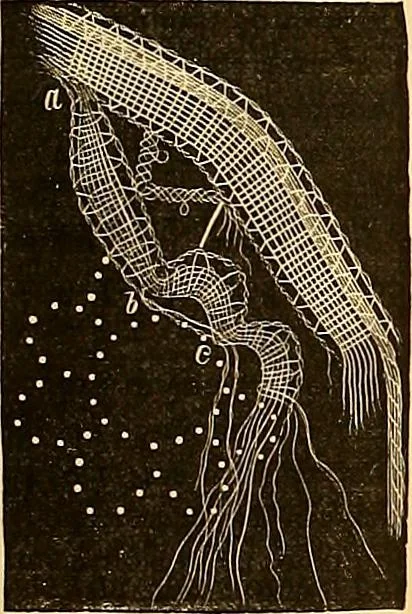 An illustration from The dictionary of needlework : an encyclopædia of artistic, plain, and fancy needlework ..., 1882, leaf 178
