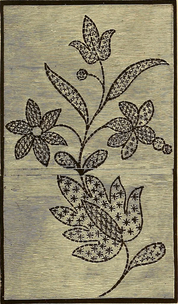An illustration from The dictionary of needlework : an encyclopædia of artistic, plain, and fancy needlework ..., 1882, leaf 18