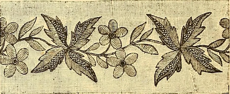 An illustration from The dictionary of needlework : an encyclopædia of artistic, plain, and fancy needlework ..., 1882, leaf 184