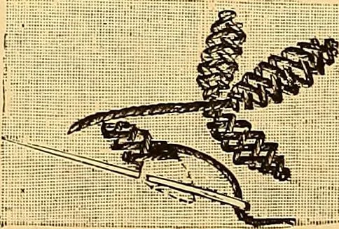 An illustration from The dictionary of needlework : an encyclopædia of artistic, plain, and fancy needlework ..., 1882, leaf 200