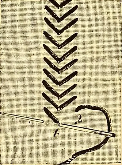 An illustration from The dictionary of needlework : an encyclopædia of artistic, plain, and fancy needlework ..., 1882, leaf 202