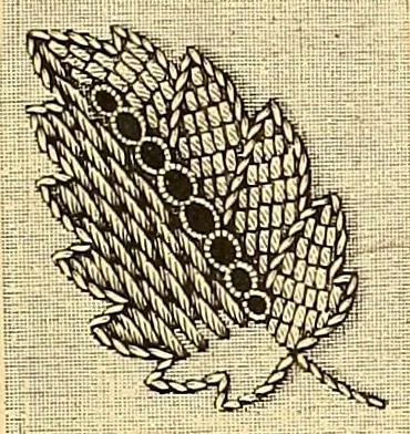 An illustration from The dictionary of needlework : an encyclopædia of artistic, plain, and fancy needlework ..., 1882, leaf 204