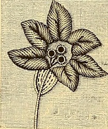An illustration from The dictionary of needlework : an encyclopædia of artistic, plain, and fancy needlework ..., 1882, leaf 205
