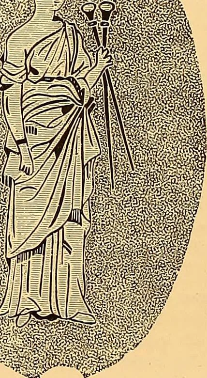 An illustration from The dictionary of needlework : an encyclopædia of artistic, plain, and fancy needlework ..., 1882, leaf 211