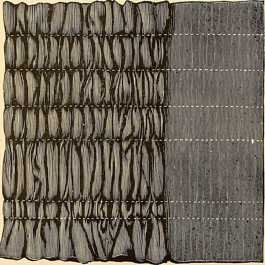 An illustration from The dictionary of needlework : an encyclopædia of artistic, plain, and fancy needlework ..., 1882, leaf 231