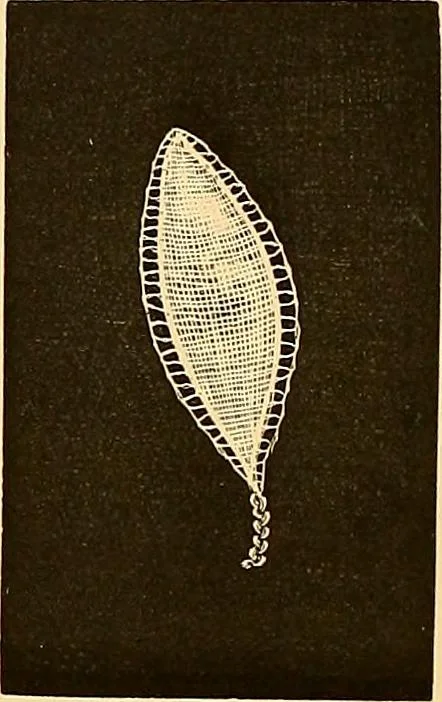 An illustration from The dictionary of needlework : an encyclopædia of artistic, plain, and fancy needlework ..., 1882, leaf 233
